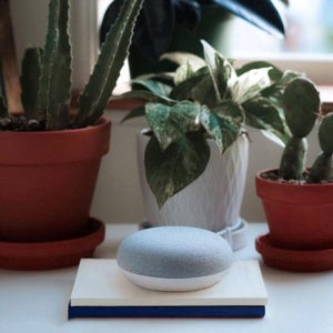 Google Home Mini