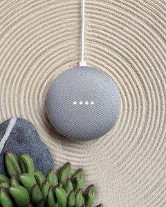 Google Home Mini