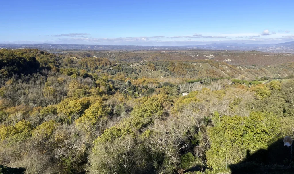 Casa in vendita a Bomarzo - Il panorama